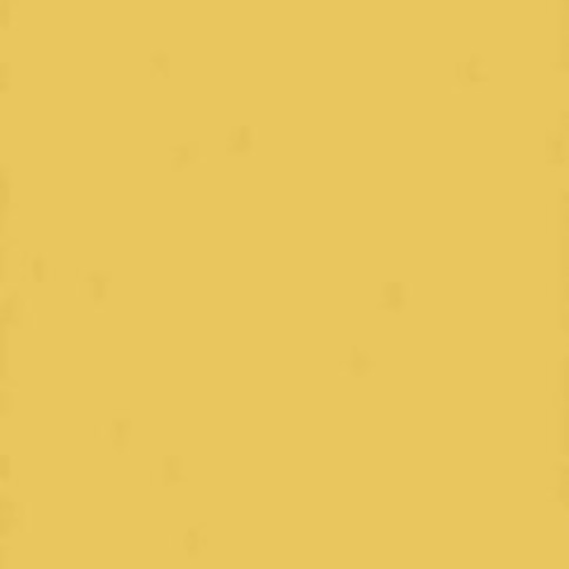 jaune_mustard_H