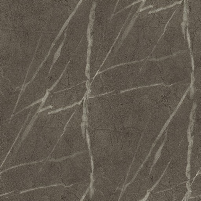 Pietra Grigia Anthracite - F205 ST9